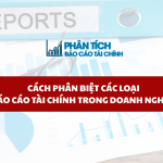 Cách Phân Biệt Các Loại Báo Cáo Tài Chính Trong Doanh Nghiệp