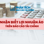 Nhận Biết Lợi Nhuận Ảo Trên Báo Cáo Tài Chính
