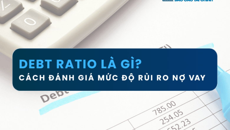 Debt Ratio Là Gì? Cách Đánh Giá Mức Độ Rủi Ro Nợ Vay